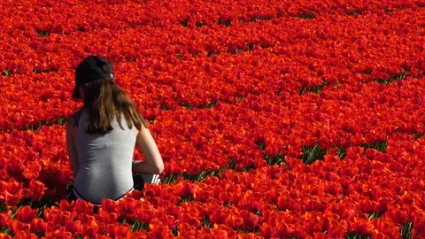 Child between tulips Stock Footage 88987679