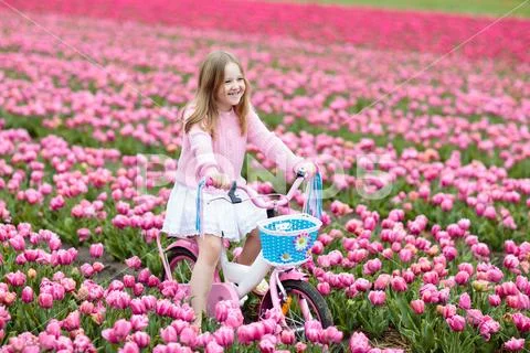 Child on bike in tulip field. Bicycle in Holland. Stock Photos