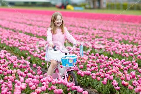 Child on bike in tulip field. Bicycle in Holland. Stock Photos
