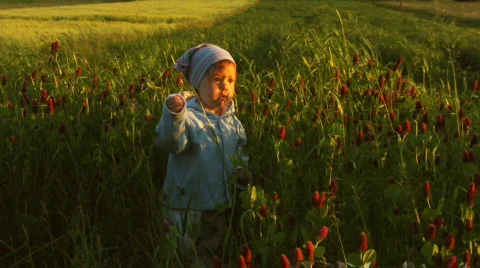Child in blooming clover Stock Footage 759276