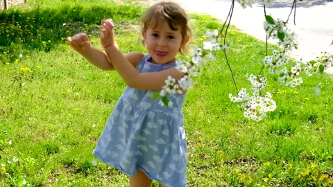 Child in a blooming garden in spring. Selective focus. Stock Footage 317438327