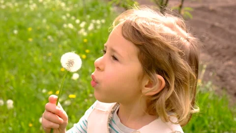 Child blowing dandelion in park. Selective focus. Kid. Stock Footage 309919564