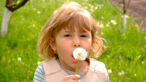 Child blowing dandelion in park. Selective focus. Kid. Vídeo Stock 310056427