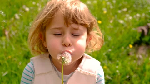 Child blowing dandelion in park. Selective focus. Kid. Vídeo Stock 310664518