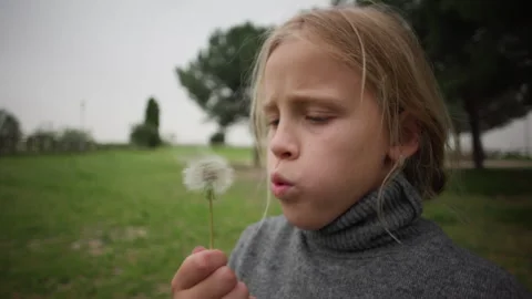 Child blowing fluffy dandelion clock in close up profile view Stock Footage 337814203