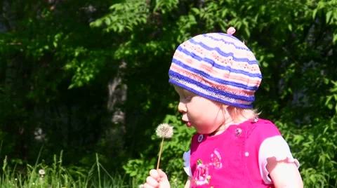 The child blows on a dandelion Stock Footage 51440040