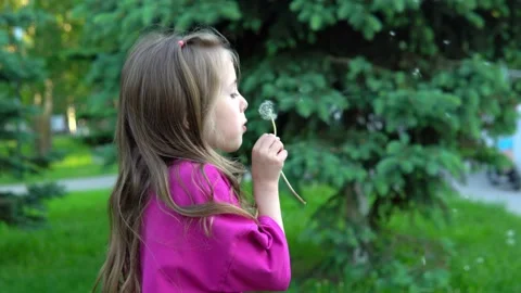 The child blows on a dandelion. spring flowering, child in the park. Video stock 201086534