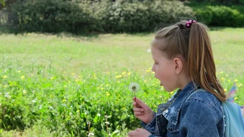 A child blows on a dandelion in a spring park. Stock Footage 153935853