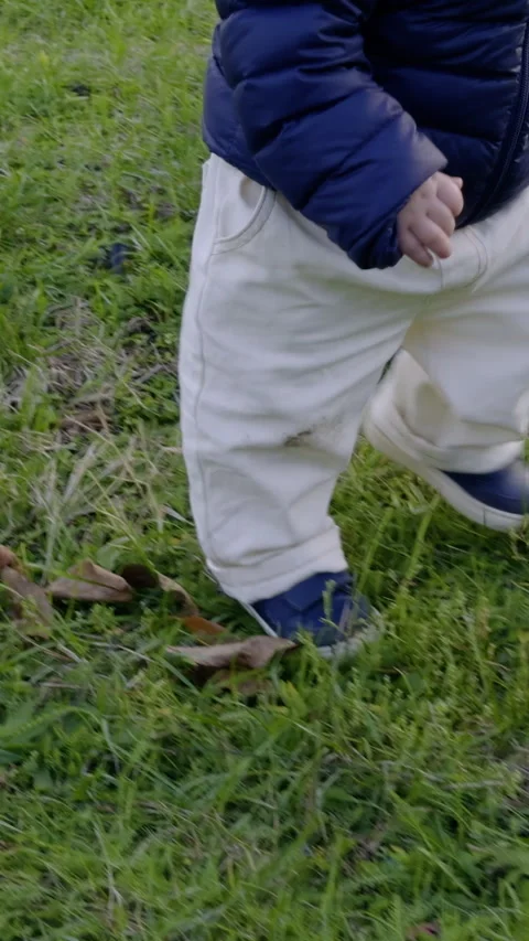 Child in blue jacket and white pants joyfully walks across grassy field, taking Stock Footage 331805208