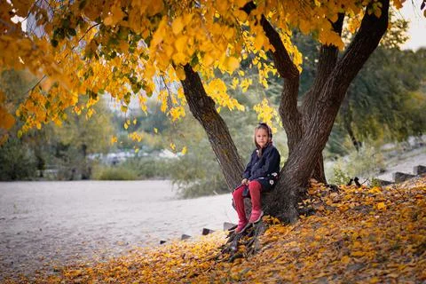 Child in blue jacket is sitting under tree by the river. Little girl in warm Stock Photos