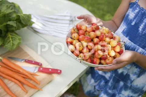 A child with a bowl of red cherries Stock Photos