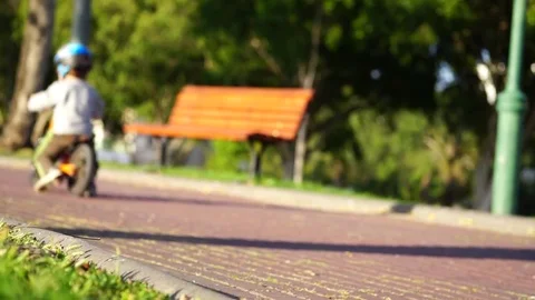 Child boy on a bicycle in the forest in summer. Boy cycling outdoors in safety Stock Footage 80023844