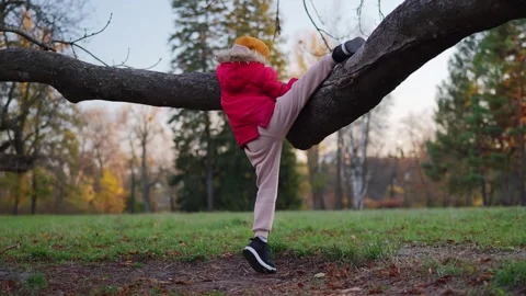 Child boy climbing a tree, dressed in warm autumn clothes in a park. Stock Footage 292918155