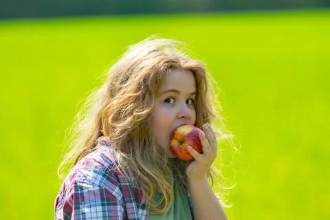 The child boy eats an apple. Ripe fruit for kids. Child bites apple. The child Stock Photos