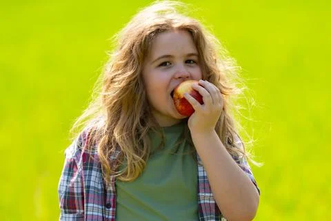 The child boy eats an apple. Ripe fruit for kids. Child bites apple. The child Stock Photos