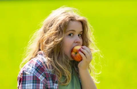 The child boy eats an apple. Ripe fruit for kids. Child bites apple. The child Stock Photos