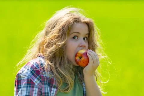 The child boy eats an apple. Ripe fruit for kids. Child bites apple. The child Stock Photos