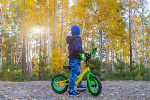 Child boy of five stands on the path in autumn forest holding cycling turning Stock Photos