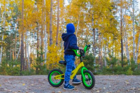 Child boy of five stands on the path in autumn forest holding behind the whee Stock Photos