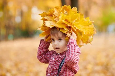 Child boy is posing with yellow fallen leaves on his head. Autumn city park,  Stock Photos