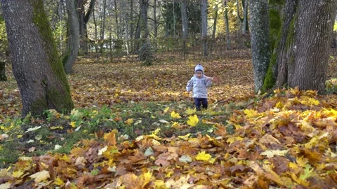 Child boy with raker tool walking garden covered with colorful autumn leaves Stock Footage 131879798