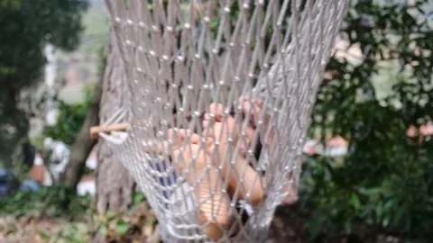 Child boy is resting in hammock in garden, in sunny summer day. Stock Footage 238367664