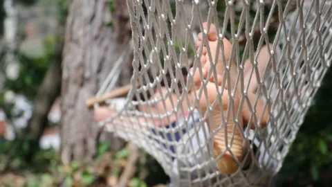 Child boy is resting in hammock in garden, in sunny summer day. Stock Footage 238367696