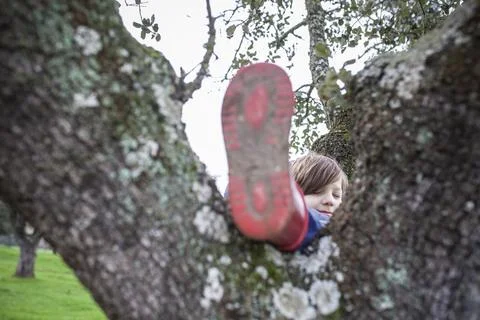 Child boy resting over tree after intense journey in nature Stock Photos