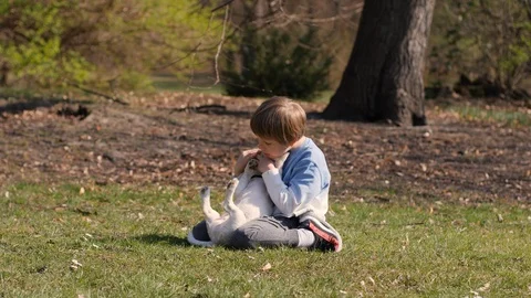 Child boy sit on park grass hug and cherish small pet dog but animal tries to Stock Footage 126820153