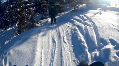 Child boy skiing through forest. Stockbeeldmateriaal 86242394