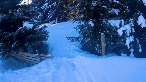 Child boy skiing through forest. 動画素材 86281614