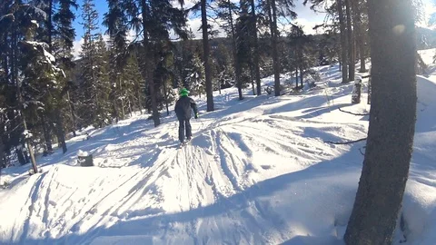 Child boy skiing through forest. 動画素材 86283256