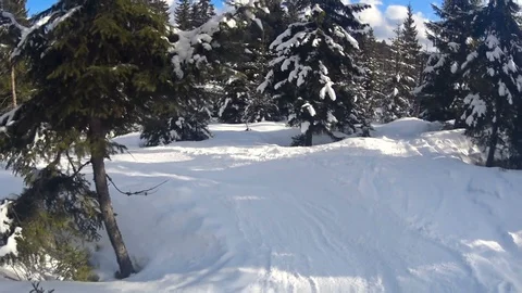 Child boy skiing through forest. 動画素材 86286927