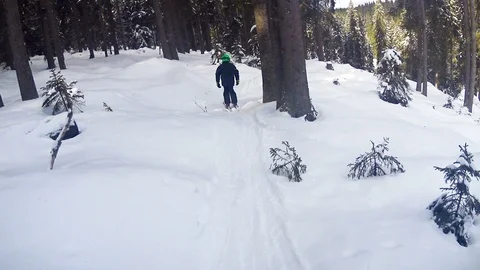 Child boy skiing through forest. Stock Footage 86288638