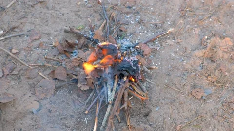 Child boy throws firewoods branches in a fire on nature, hands closeup. Stock Footage 136423237