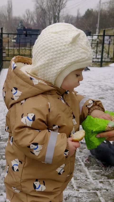 Child in a brown winter coat interacts with pigeons by a fence, receiving green Vídeo Stock 331153923