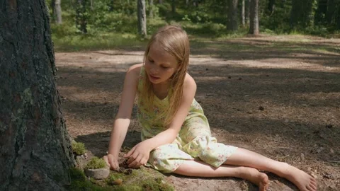 Child building a miniature forest setup at the base of a tree Stock Footage 293572137