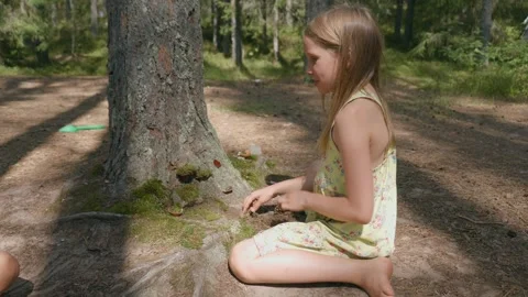 Child building a miniature forest setup at the base of a tree Stock Footage 293572549