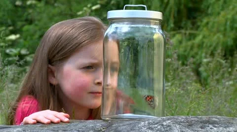 Child with butterfly Stock Footage 22636516