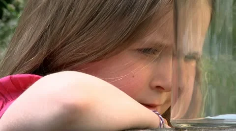 Child with butterfly Stock Footage 22636521