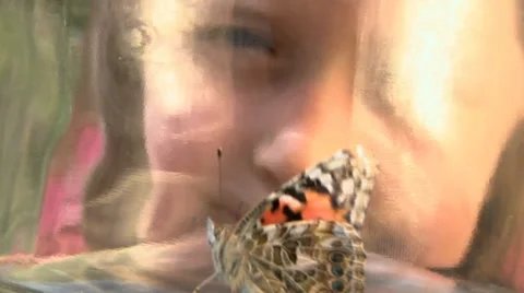 Child with butterfly Stock Footage 22636530