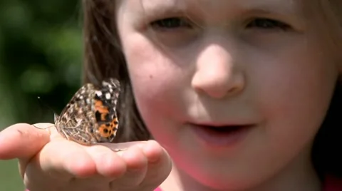 Child with butterfly Stock Footage 22636535