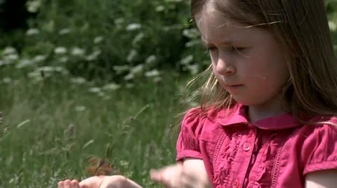 Child with butterfly Stock Footage 22636541