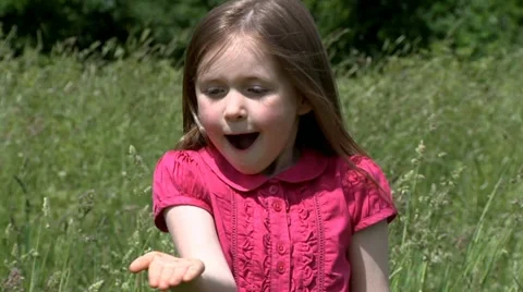 Child with butterfly Stock Footage 22636546