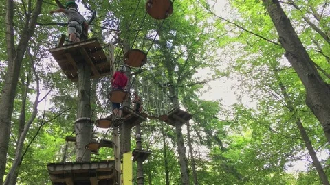 Child on cable way, tree climbing Stock Footage 79062042