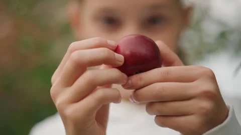 Child carefully inspects vibrant apple with curiosity. Playful young scientist Stock Footage 346386038