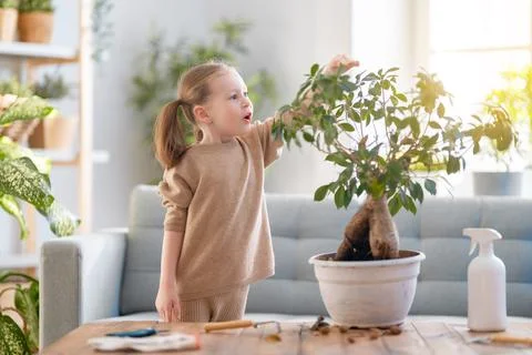 Child is caring for plants Stock Photos