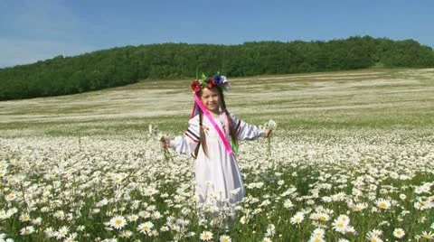 Child in a chamomile meadow Stock Footage 21946728