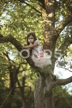 Child climb tree branch in summer garden, secret or silence Stock Photos