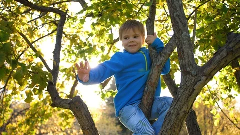 The child climbed a tree. He plays with berries and yellow leaves. Bright autumn 库存影片 117696424